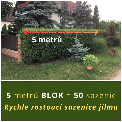 BLOK RYCHLE ROSTOUCÍCH JILMŮ (5 METRŮ)